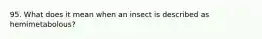 95. What does it mean when an insect is described as hemimetabolous?