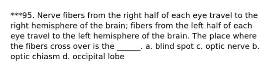 ***95. Nerve fibers from the right half of each eye travel to the right hemisphere of the brain; fibers from the left half of each eye travel to the left hemisphere of the brain. The place where the fibers cross over is the ______. a. blind spot c. optic nerve b. optic chiasm d. occipital lobe