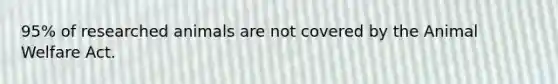 95% of researched animals are not covered by the Animal Welfare Act.