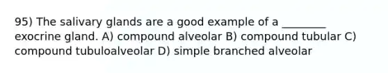 95) The salivary glands are a good example of a ________ exocrine gland. A) compound alveolar B) compound tubular C) compound tubuloalveolar D) simple branched alveolar