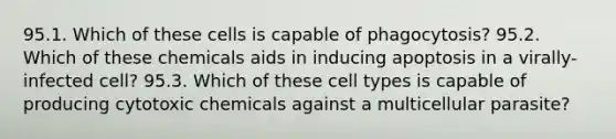 95.1. Which of these cells is capable of phagocytosis? 95.2. Which of these chemicals aids in inducing apoptosis in a virally-infected cell? 95.3. Which of these cell types is capable of producing cytotoxic chemicals against a multicellular parasite?