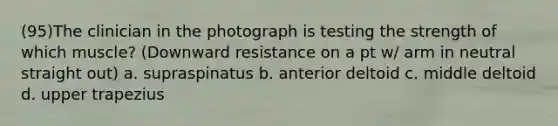 (95)The clinician in the photograph is testing the strength of which muscle? (Downward resistance on a pt w/ arm in neutral straight out) a. supraspinatus b. anterior deltoid c. middle deltoid d. upper trapezius