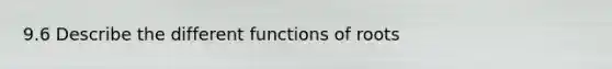 9.6 Describe the different functions of roots