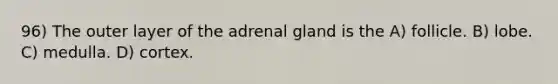 96) The outer layer of the adrenal gland is the A) follicle. B) lobe. C) medulla. D) cortex.