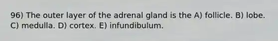 96) The outer layer of the adrenal gland is the A) follicle. B) lobe. C) medulla. D) cortex. E) infundibulum.