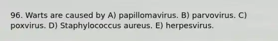 96. Warts are caused by A) papillomavirus. B) parvovirus. C) poxvirus. D) Staphylococcus aureus. E) herpesvirus.