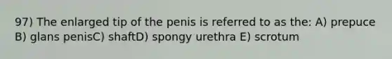 97) The enlarged tip of the penis is referred to as the: A) prepuce B) glans penisC) shaftD) spongy urethra E) scrotum