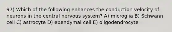 97) Which of the following enhances the conduction velocity of neurons in the central nervous system? A) microglia B) Schwann cell C) astrocyte D) ependymal cell E) oligodendrocyte