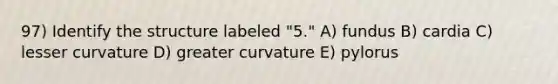 97) Identify the structure labeled "5." A) fundus B) cardia C) lesser curvature D) greater curvature E) pylorus