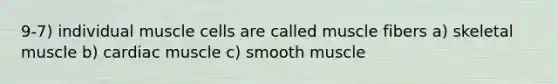 9-7) individual muscle cells are called muscle fibers a) skeletal muscle b) cardiac muscle c) smooth muscle