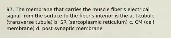 97. The membrane that carries the muscle fiber's electrical signal from the surface to the fiber's interior is the a. t-tubule (transverse tubule) b. SR (sarcoplasmic reticulum) c. CM (cell membrane) d. post-synaptic membrane