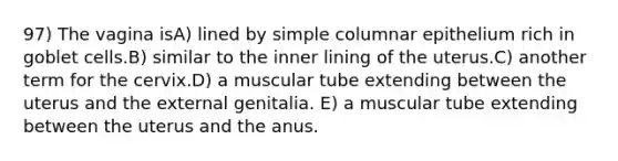 97) The vagina isA) lined by simple columnar epithelium rich in goblet cells.B) similar to the inner lining of the uterus.C) another term for the cervix.D) a muscular tube extending between the uterus and the external genitalia. E) a muscular tube extending between the uterus and the anus.