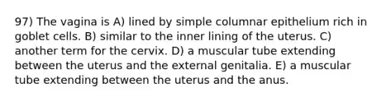 97) The vagina is A) lined by simple columnar epithelium rich in goblet cells. B) similar to the inner lining of the uterus. C) another term for the cervix. D) a muscular tube extending between the uterus and the external genitalia. E) a muscular tube extending between the uterus and the anus.