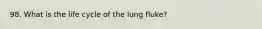 98. What is the life cycle of the lung fluke?