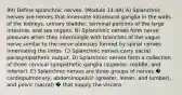 99) Define splanchnic nerves. (Module 14.4A) A) Splanchnic nerves are nerves that innervate intramural ganglia in the walls of the kidneys, urinary bladder, terminal portions of the large intestine, and sex organs. B) Splanchnic nerves form nerve plexuses when they intermingle with branches of the vagus nerve similar to the nerve plexuses formed by spinal nerves innervating the limbs. C) Splanchnic nerves carry sacral parasympathetic output. D) Splanchnic nerves form a collection of three cervical sympathetic ganglia (superior, middle, and inferior). E) Splanchnic nerves are three groups of nerves � cardiopulmonary, abdominopelvic (greater, lesser, and lumbar), and pelvic (sacral) � that supply the viscera.