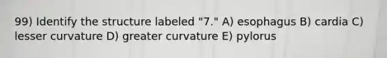 99) Identify the structure labeled "7." A) esophagus B) cardia C) lesser curvature D) greater curvature E) pylorus