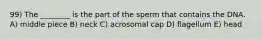 99) The ________ is the part of the sperm that contains the DNA. A) middle piece B) neck C) acrosomal cap D) flagellum E) head