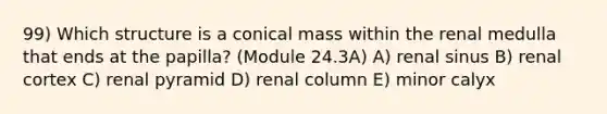 99) Which structure is a conical mass within the renal medulla that ends at the papilla? (Module 24.3A) A) renal sinus B) renal cortex C) renal pyramid D) renal column E) minor calyx