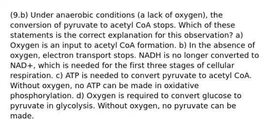 (9.b) Under anaerobic conditions (a lack of oxygen), the conversion of pyruvate to acetyl CoA stops. Which of these statements is the correct explanation for this observation? a) Oxygen is an input to acetyl CoA formation. b) In the absence of oxygen, electron transport stops. NADH is no longer converted to NAD+, which is needed for the first three stages of cellular respiration. c) ATP is needed to convert pyruvate to acetyl CoA. Without oxygen, no ATP can be made in oxidative phosphorylation. d) Oxygen is required to convert glucose to pyruvate in glycolysis. Without oxygen, no pyruvate can be made.