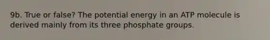 9b. True or false? The potential energy in an ATP molecule is derived mainly from its three phosphate groups.