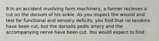 9.In an accident involving farm machinery, a farmer recieves a cut on the dorsum of his ankle. As you inspect the wound and test for functional and sensory deficits, you find that no tendons have been cut, but the dorsalis pedis artery and the accompanying nerve have been cut. You would expect to find: