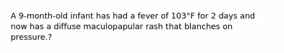 A 9-month-old infant has had a fever of 103°F for 2 days and now has a diffuse maculopapular rash that blanches on pressure.?