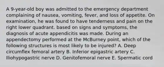 A 9-year-old boy was admitted to the emergency department complaining of nausea, vomiting, fever, and loss of appetite. On examination, he was found to have tenderness and pain on the right lower quadrant. based on signs and symptoms, the diagnosis of acute appendicitis was made. During an appendectomy performed at the McBurney point, which of the following structures is most likely to be injured? A. Deep circumflex femoral artery B. Inferior epigastric artery C. Iliohypogastric nerve D. Genitofemoral nerve E. Spermatic cord