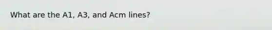 What are the A1, A3, and Acm lines?