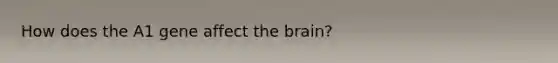 How does the A1 gene affect the brain?