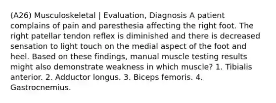 (A26) Musculoskeletal | Evaluation, Diagnosis A patient complains of pain and paresthesia affecting the right foot. The right patellar tendon reflex is diminished and there is decreased sensation to light touch on the medial aspect of the foot and heel. Based on these findings, manual muscle testing results might also demonstrate weakness in which muscle? 1. Tibialis anterior. 2. Adductor longus. 3. Biceps femoris. 4. Gastrocnemius.