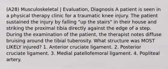 (A28) Musculoskeletal | Evaluation, Diagnosis A patient is seen in a physical therapy clinic for a traumatic knee injury. The patient sustained the injury by falling "up the stairs" in their house and striking the proximal tibia directly against the edge of a step. During the examination of the patient, the therapist notes diffuse bruising around the tibial tuberosity. What structure was MOST LIKELY injured? 1. Anterior cruciate ligament. 2. Posterior cruciate ligament. 3. Medial patellofemoral ligament. 4. Popliteal artery.