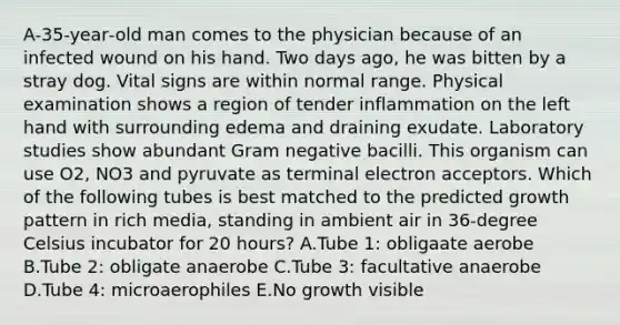 A‐35‐year‐old man comes to the physician because of an infected wound on his hand. Two days ago, he was bitten by a stray dog. Vital signs are within normal range. Physical examination shows a region of tender inflammation on the left hand with surrounding edema and draining exudate. Laboratory studies show abundant Gram negative bacilli. This organism can use O2, NO3 and pyruvate as terminal electron acceptors. Which of the following tubes is best matched to the predicted growth pattern in rich media, standing in ambient air in 36-degree Celsius incubator for 20 hours? A.Tube 1: obligaate aerobe B.Tube 2: obligate anaerobe C.Tube 3: facultative anaerobe D.Tube 4: microaerophiles E.No growth visible