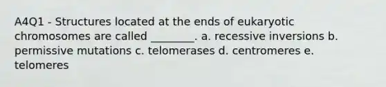 A4Q1 - Structures located at the ends of eukaryotic chromosomes are called ________. a. recessive inversions b. permissive mutations c. telomerases d. centromeres e. telomeres