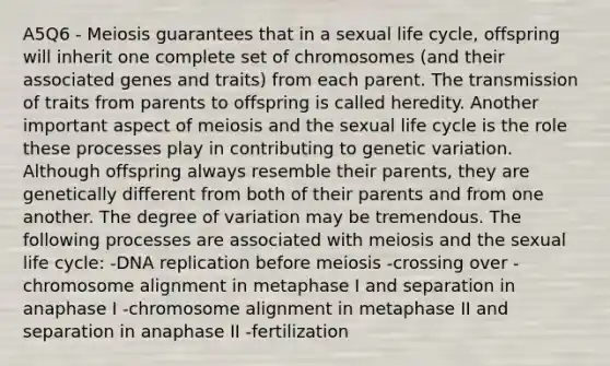 A5Q6 - Meiosis guarantees that in a sexual life cycle, offspring will inherit one complete set of chromosomes (and their associated genes and traits) from each parent. The transmission of traits from parents to offspring is called heredity. Another important aspect of meiosis and the sexual life cycle is the role these processes play in contributing to genetic variation. Although offspring always resemble their parents, they are genetically different from both of their parents and from one another. The degree of variation may be tremendous. The following processes are associated with meiosis and the sexual life cycle: -DNA replication before meiosis -crossing over -chromosome alignment in metaphase I and separation in anaphase I -chromosome alignment in metaphase II and separation in anaphase II -fertilization