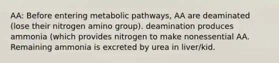 AA: Before entering metabolic pathways, AA are deaminated (lose their nitrogen amino group). deamination produces ammonia (which provides nitrogen to make nonessential AA. Remaining ammonia is excreted by urea in liver/kid.