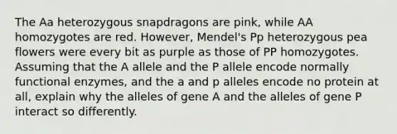 The Aa heterozygous snapdragons are pink, while AA homozygotes are red. However, Mendel's Pp heterozygous pea flowers were every bit as purple as those of PP homozygotes. Assuming that the A allele and the P allele encode normally functional enzymes, and the a and p alleles encode no protein at all, explain why the alleles of gene A and the alleles of gene P interact so differently.