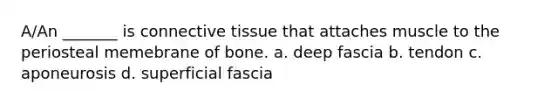 A/An _______ is connective tissue that attaches muscle to the periosteal memebrane of bone. a. deep fascia b. tendon c. aponeurosis d. superficial fascia