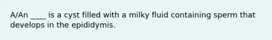 A/An ____ is a cyst filled with a milky fluid containing sperm that develops in the epididymis.