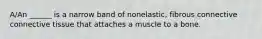 A/An ______ is a narrow band of nonelastic, fibrous connective connective tissue that attaches a muscle to a bone.