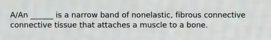 A/An ______ is a narrow band of nonelastic, fibrous connective connective tissue that attaches a muscle to a bone.