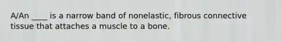 A/An ____ is a narrow band of nonelastic, fibrous <a href='https://www.questionai.com/knowledge/kYDr0DHyc8-connective-tissue' class='anchor-knowledge'>connective tissue</a> that attaches a muscle to a bone.