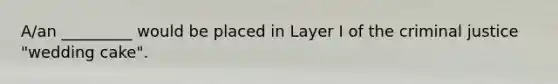 A/an _________ would be placed in Layer I of the criminal justice "wedding cake".​