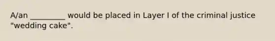 A/an _________ would be placed in Layer I of the criminal justice "wedding cake".
