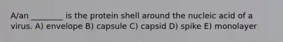 A/an ________ is the protein shell around the nucleic acid of a virus. A) envelope B) capsule C) capsid D) spike E) monolayer