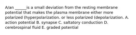 A/an ______is a small deviation from the resting membrane potential that makes the plasma membrane either more polarized (hyperpolarization. or less polarized (depolarization. A. action potential B. synapse C. saltatory conduction D. cerebrospinal fluid E. graded potential