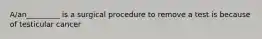 A/an_________ is a surgical procedure to remove a test is because of testicular cancer