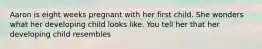 Aaron is eight weeks pregnant with her first child. She wonders what her developing child looks like. You tell her that her developing child resembles