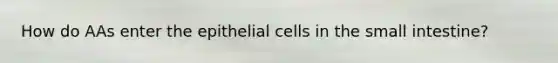 How do AAs enter the epithelial cells in the small intestine?