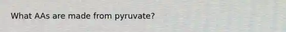 What AAs are made from pyruvate?