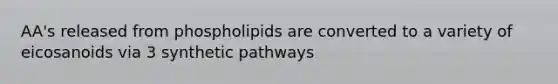 AA's released from phospholipids are converted to a variety of eicosanoids via 3 synthetic pathways